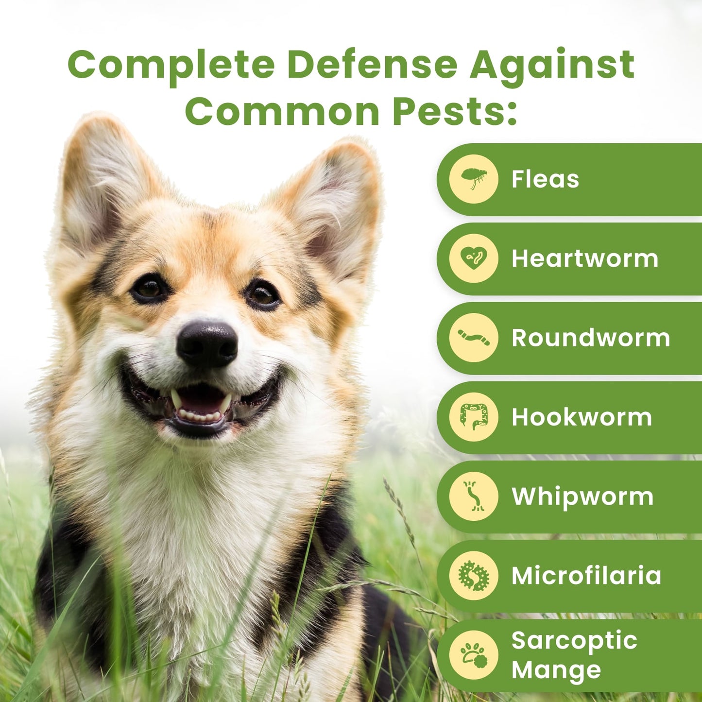 Chemical-Free Flea & Tick Control