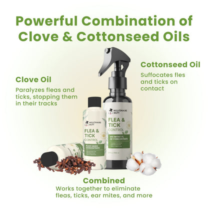 Chemical-Free Flea & Tick Control