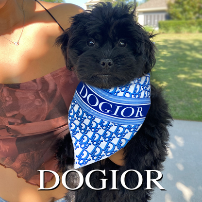 Luxury dog bandana fashion parody