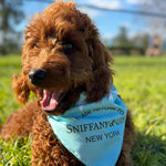 Luxury dog bandana designer fashion parody