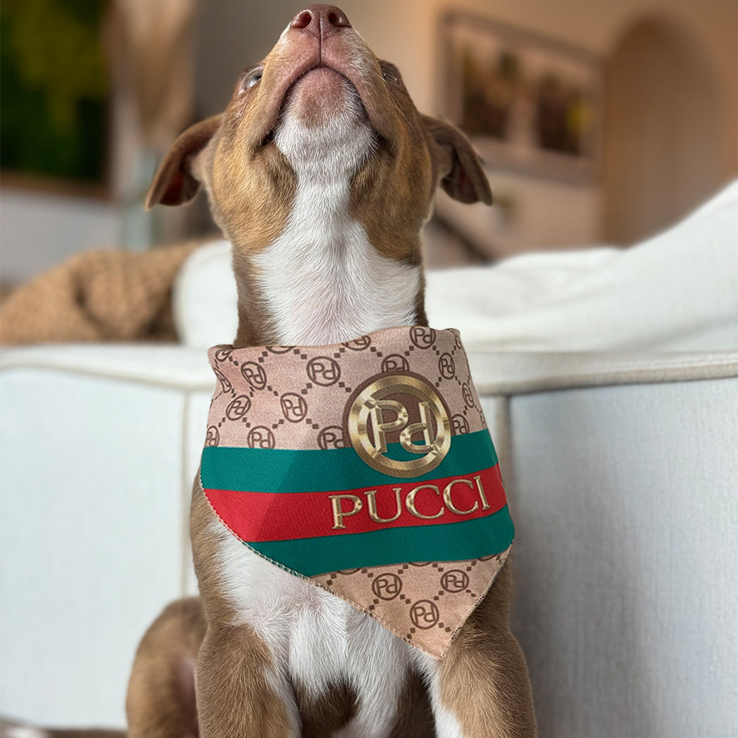 Pucci dog clothes hotsell