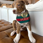 Luxury dog bandana designer fashion parody