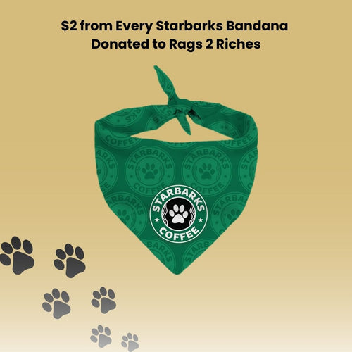 Luxury dog bandana designer fashion parody Starbucks