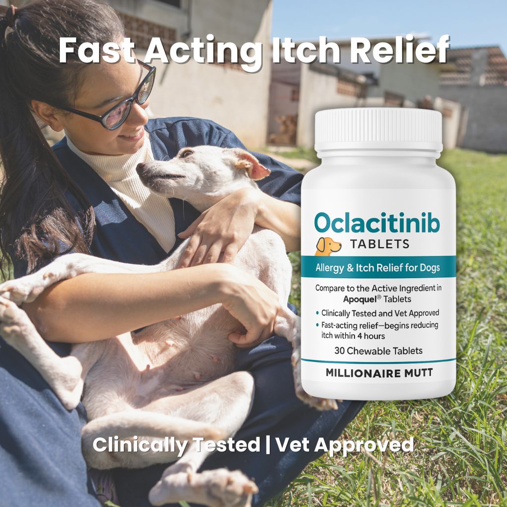 OCLACITINIB BUNDLE OF 5 (FOR UPSELL)
